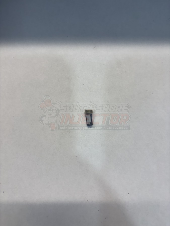 Micro basket inlet filter