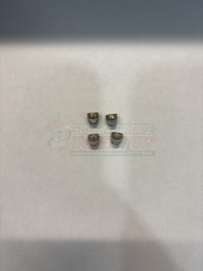 Bosch EV14 inlet filter