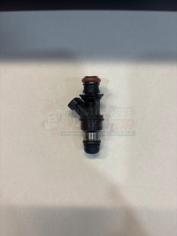 Delphi 25348180 fuel injector